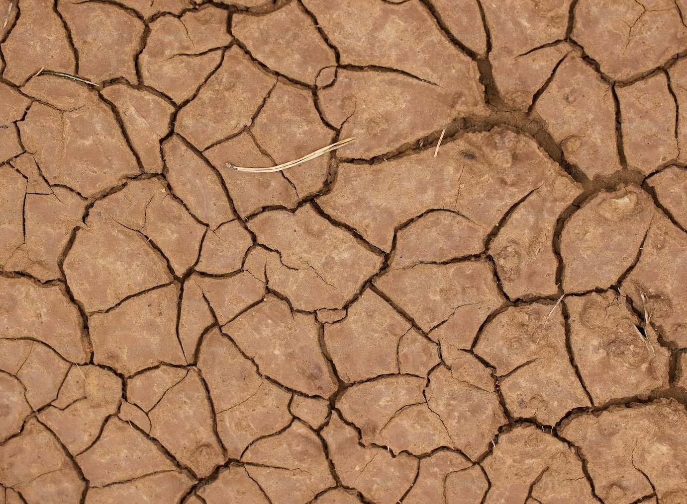 El NIño puede causar sequías e inundaciones