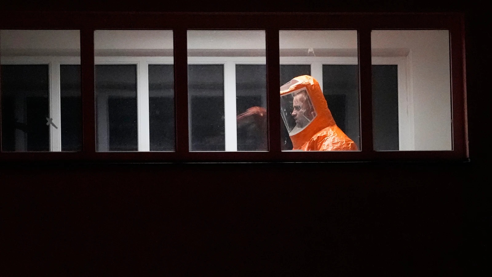 El peligro de los virus zombis