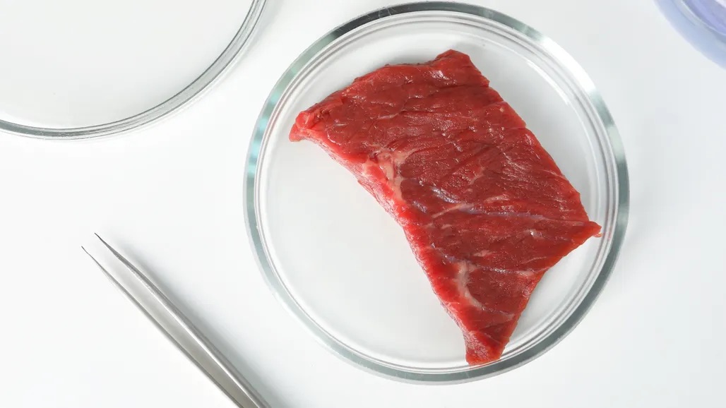 Placa de Petri con trozo de carne cultivada cruda